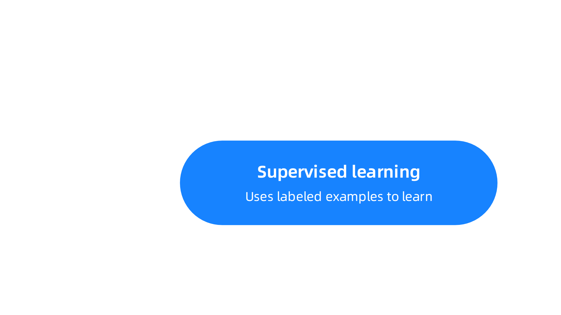 AI algorithms fall into three main categories: supervised, unsupervised, and reinforcement learning.