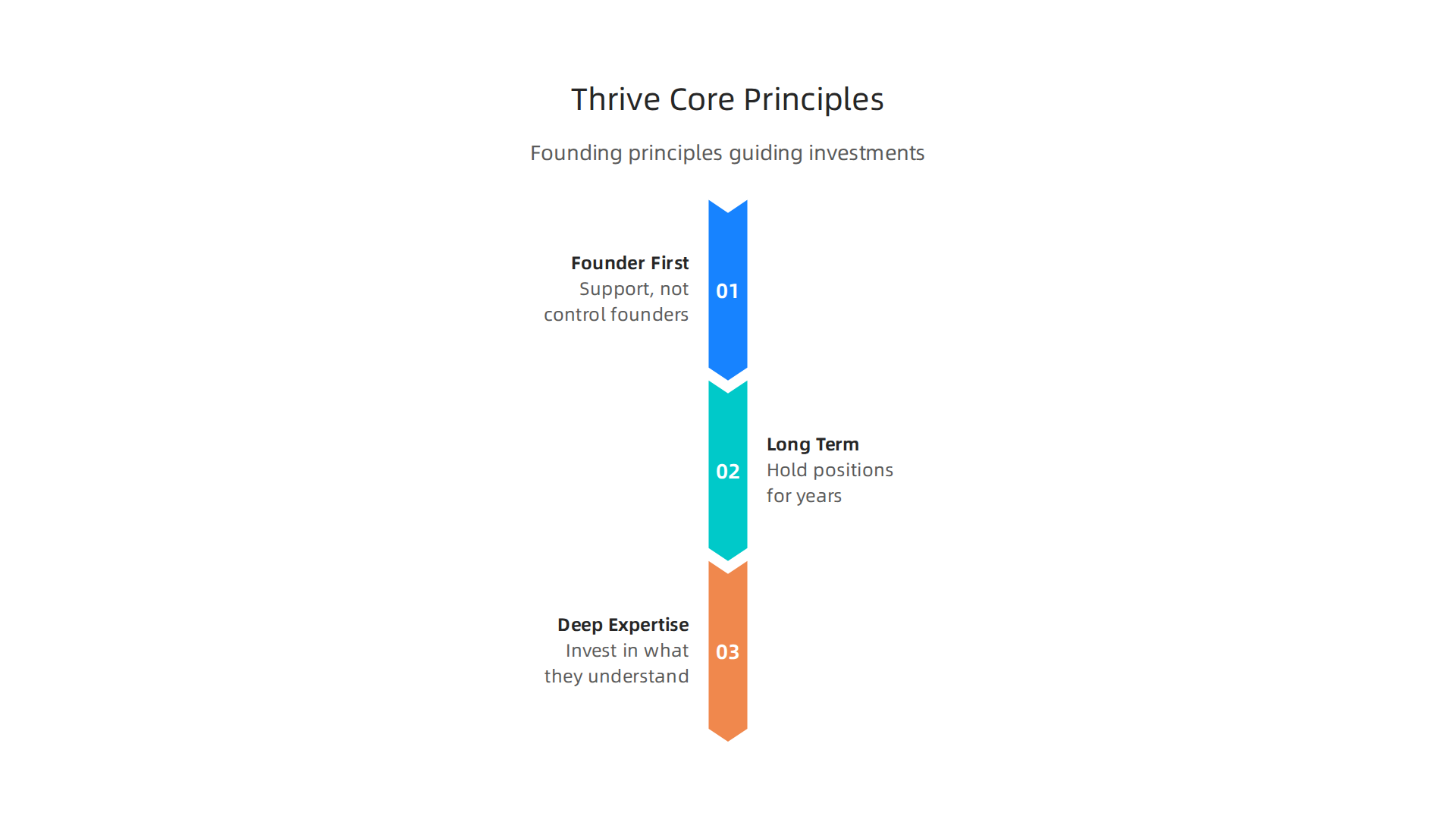 Visualizing Thrive Capital's foundational principles that guide its investment strategy.