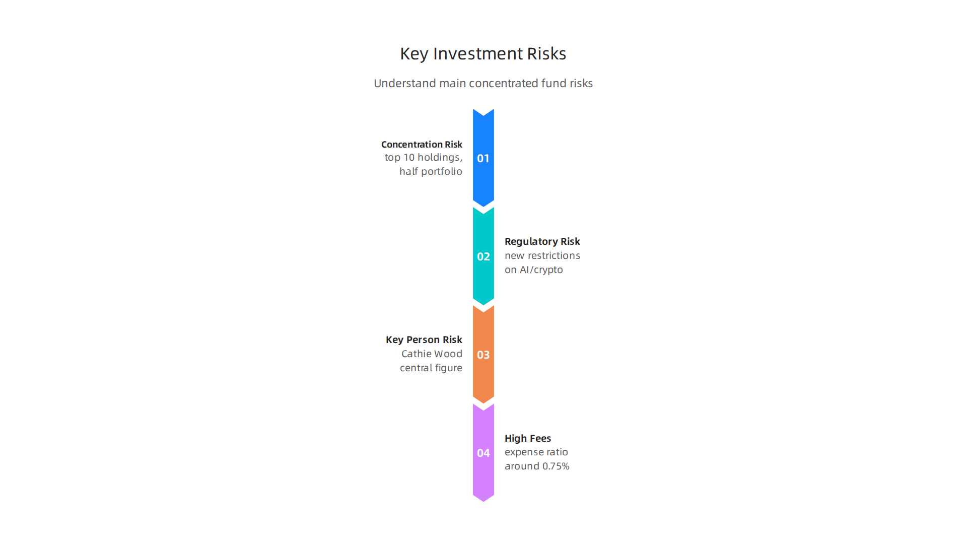 Understand the main risks associated with investing in highly concentrated disruptive technology funds.