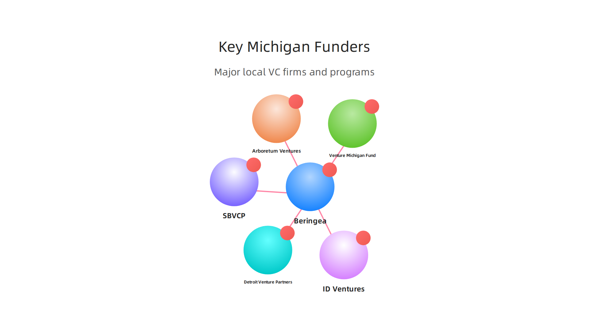An overview of major local venture capital firms and government programs investing in Michigan's startup ecosystem.